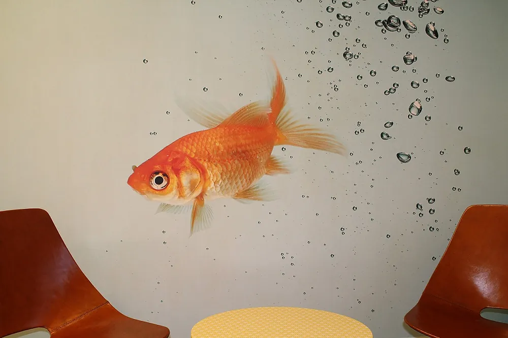 Wartezimmer der Praxis Besler mit Goldfisch-Wandbild